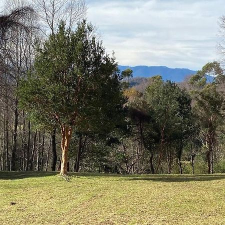 Acogedora Cabana Al Borde Del Rio Claro Villa Pucon Bagian luar foto