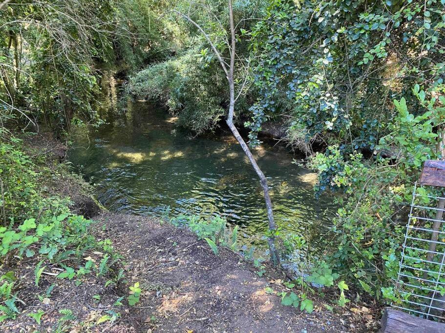 Acogedora Cabana Al Borde Del Rio Claro Villa Pucon Bagian luar foto