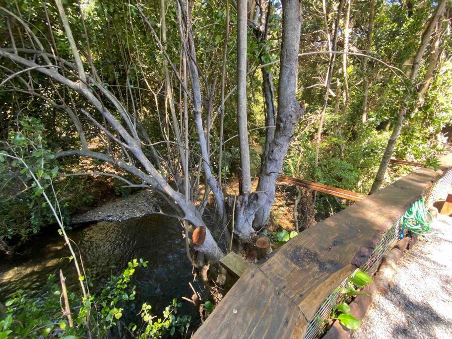 Acogedora Cabana Al Borde Del Rio Claro Villa Pucon Bagian luar foto