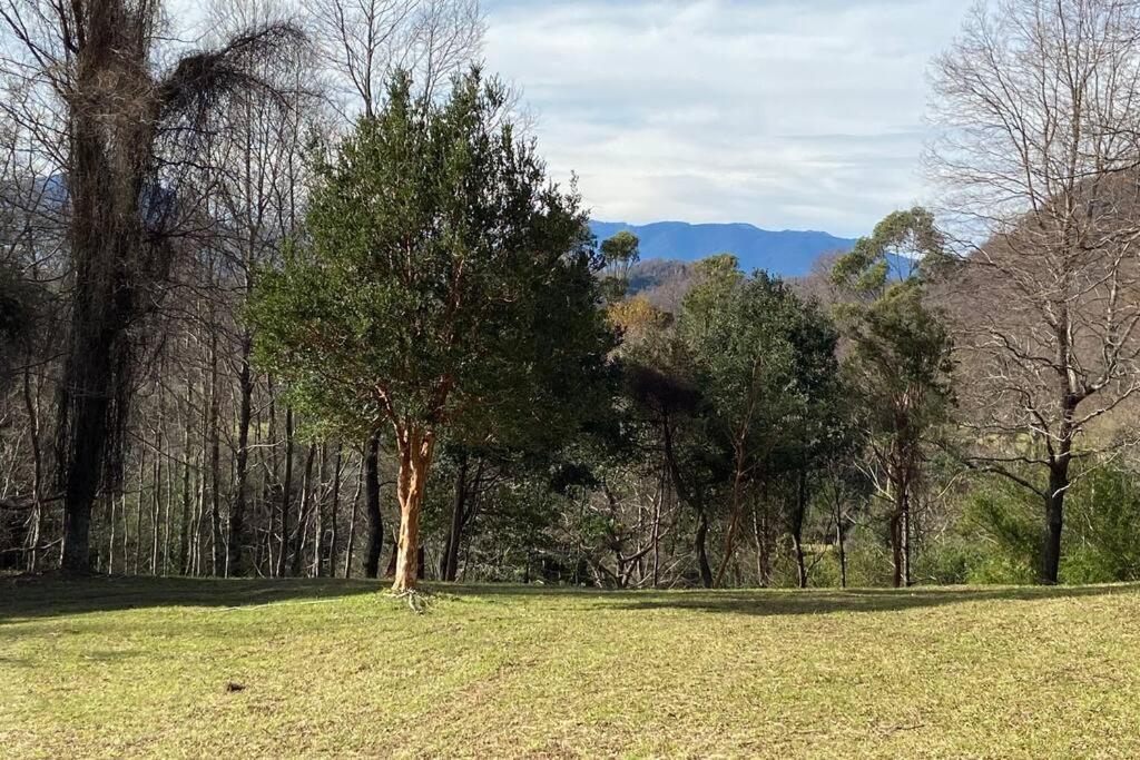 Acogedora Cabana Al Borde Del Rio Claro Villa Pucon Bagian luar foto